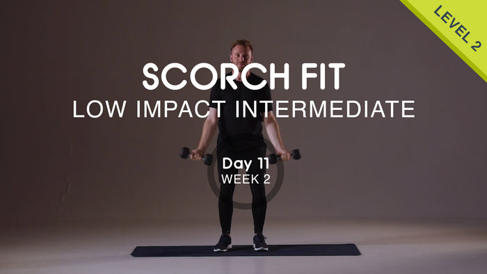 Day 11 - Upper Body Pull - Wednesday