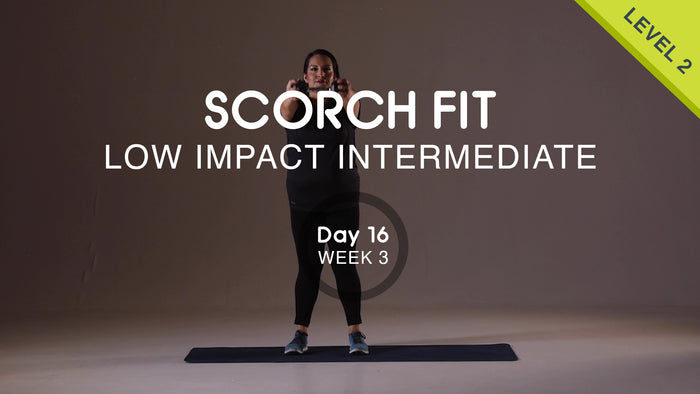 Day 16 - Upper Body Push - Monday