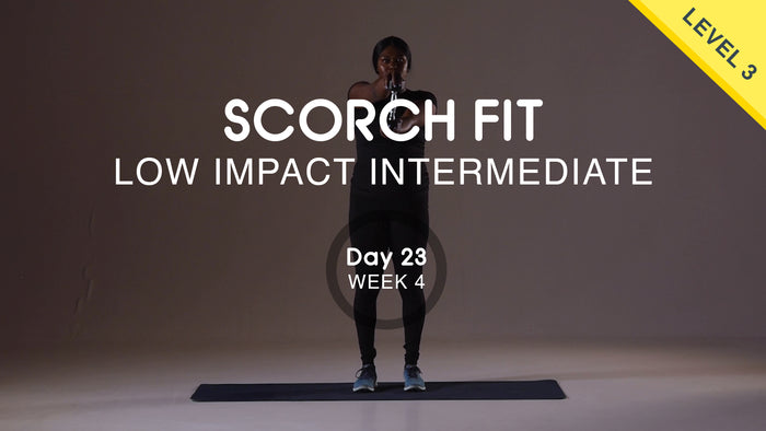 Day 23 - Upper Body Push - Monday