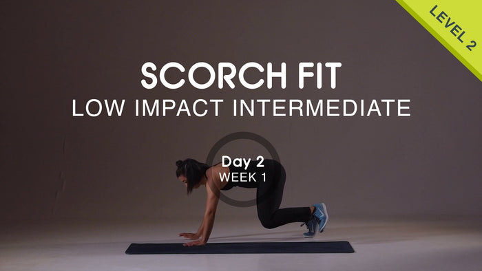 Day 02 - Upper Body Push - Monday