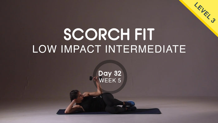 Day 32 - Upper Body Pull - Wednesday