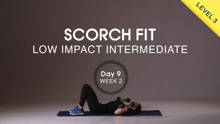 Day 09 - Upper Body Push - Monday