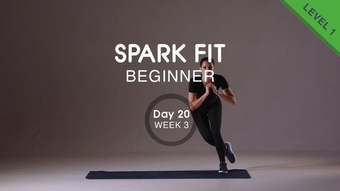 Día 20 - Viernes de cuerpo completo