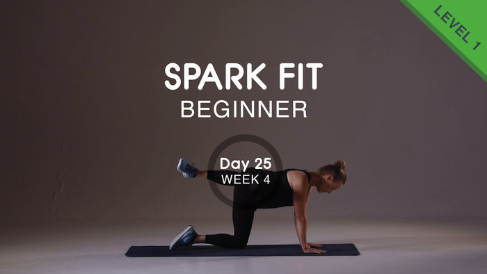 Day 25 - Lower Body & Abs Wednesday