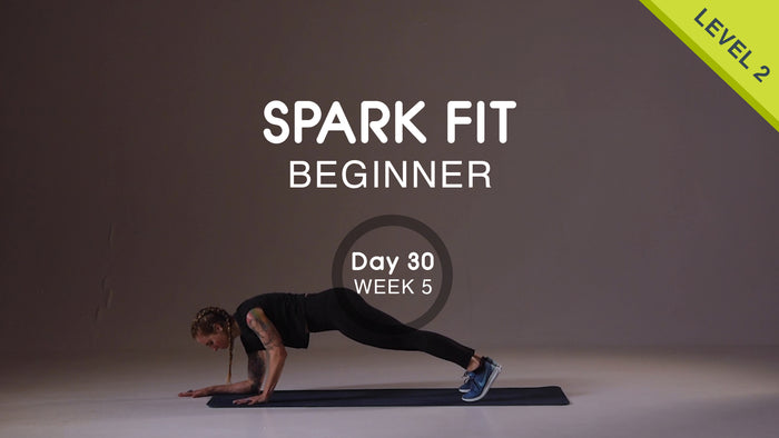 Day 30 - Upper Body & Abs Monday