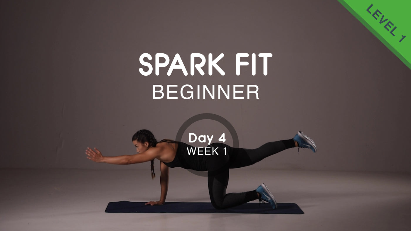 Day 04 - Lower Body & Abs Wednesday