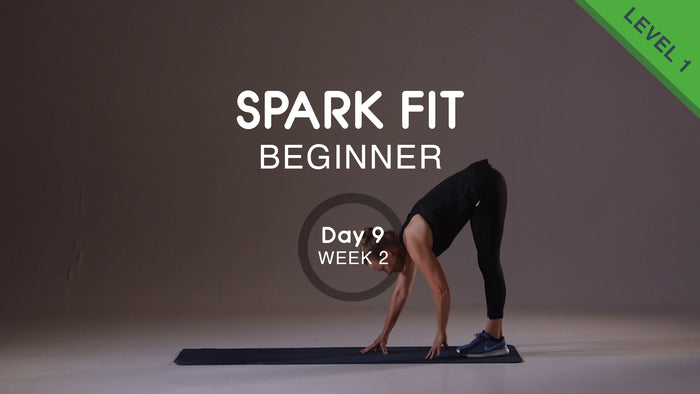 Day 09 - Upper Body & Abs Monday