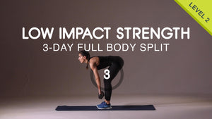 3-Day Split Low Impact Strength - Workout #3