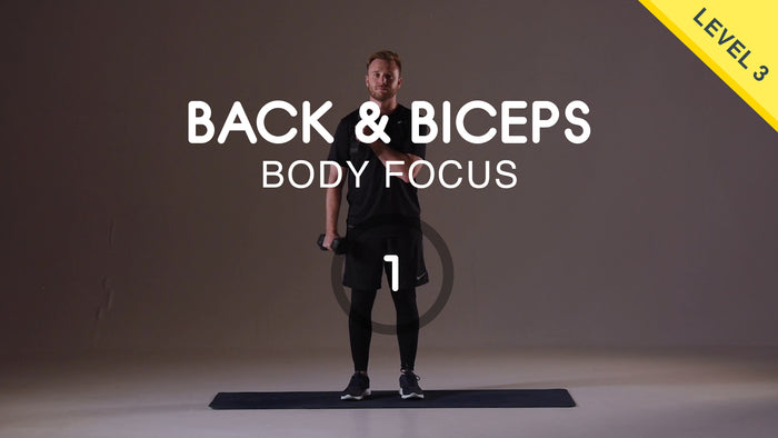 Back and Biceps Pull Workout