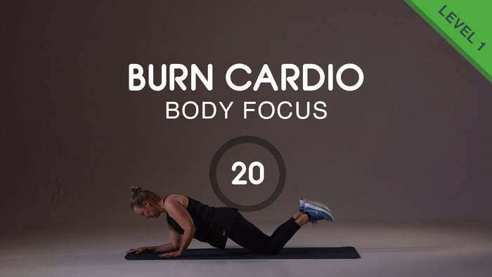 Burn Cardio 20 -  Fast Paced Beginner Challenge