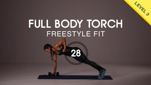 Full Body Pull Workout - Back, Biceps & Core