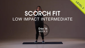 Upper Body Push - Monday