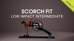 Day 18 - Upper Body Pull - Wednesday