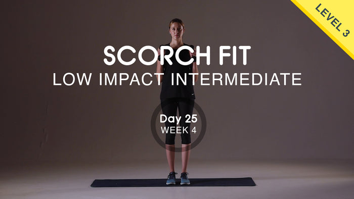 Day 25 - Upper Body Pull - Wednesday