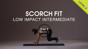 Día 02 - Empuje de la parte superior del cuerpo - Lunes