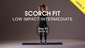 Day 37 - Upper Body Push - Monday