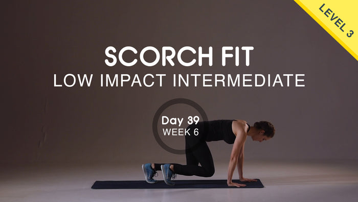 Day 39 - Upper Body Pull - Wednesday