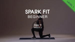 Day 11 - Lower Body & Abs Wednesday
