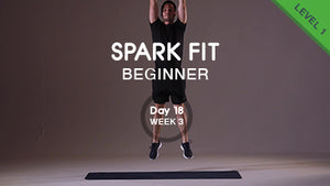 Day 18 - Lower Body & Abs Wednesday