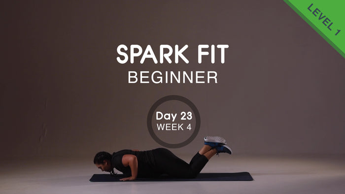 Día 23 - Parte superior del cuerpo y abdominales Lunes