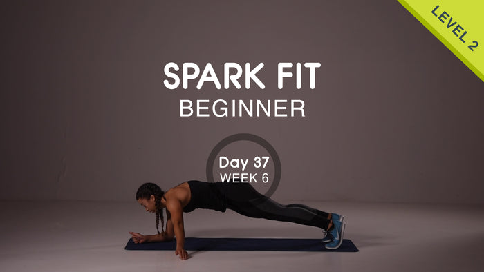Día 37 - Parte superior del cuerpo y abdominales Lunes