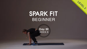 Day 39 - Lower Body & Abs Wednesday