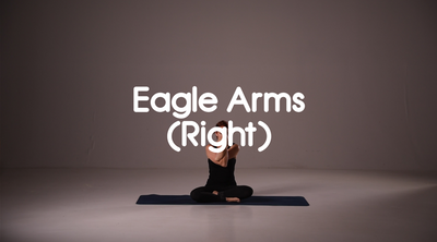 Eagle Arms