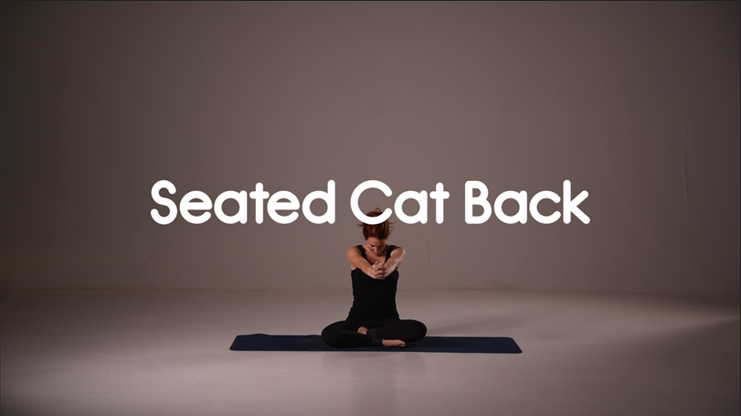 Seated Cat Back