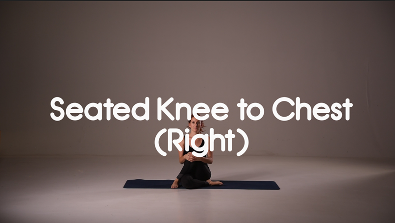 Seated Knee to Chest