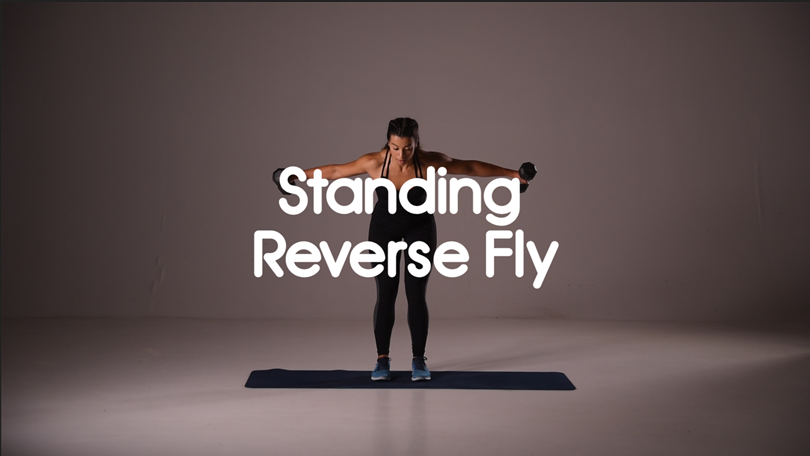 How to do a Standing Reverse Fly - HIIT Exercise with Weights – Group HIIT